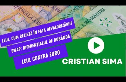 Leul contra euro | De ce nu se devalorizează moneda națională? | Explic mecanismul! | Cristian Sima