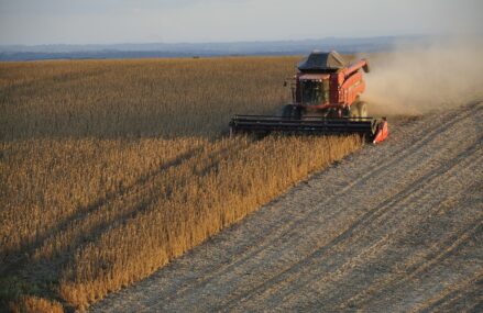 Comisia Europeană propune o derogare temporară de la regulile din Politica Agricolă Comună, pentru a crește producția de cereale